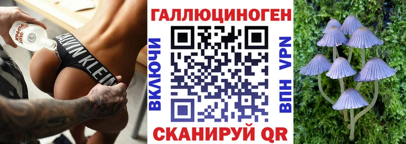 купить закладку  Юхнов  Псилоцибиновые грибы GOLDEN TEACHER 